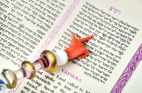 Torah — Stock Photo, Image