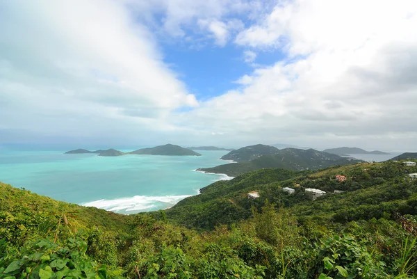 Tortola — Stock Photo, Image