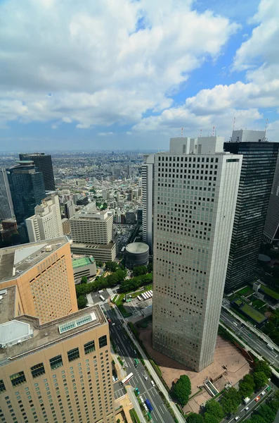 Shinjuku Panorama — Stock fotografie