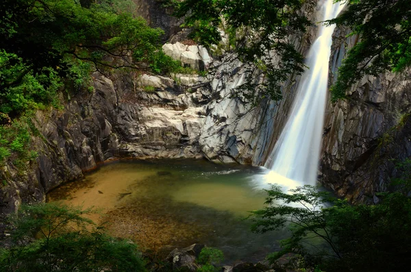 Stock image Nunobiki Falls