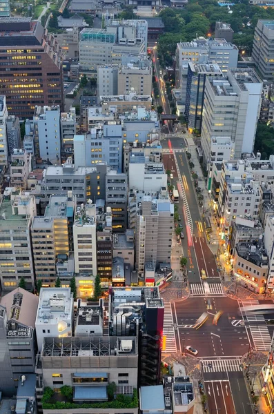 Tokyo havadan görünümü — Stok fotoğraf