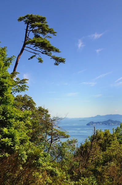 Seto iç denizi — Stok fotoğraf