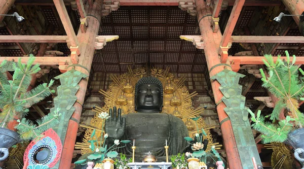 พระพุทธรูปโทไดจิ — ภาพถ่ายสต็อก
