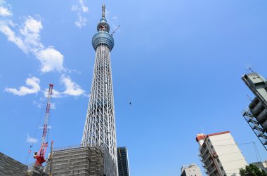 Tokyo Sky Tree clipart