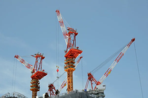 Construction Cranes — Stock Photo, Image