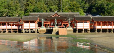 Miyajima tori kapısı