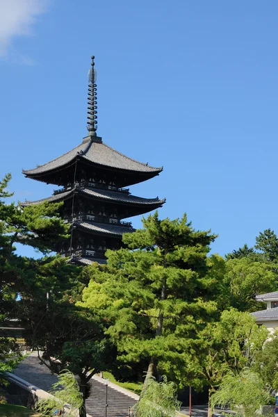 Kofuku-ji pagode — Stockfoto