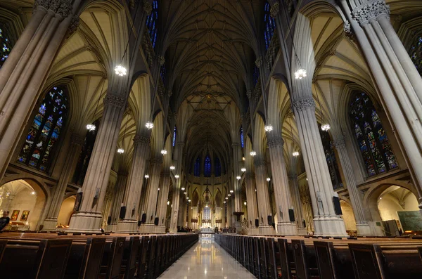 Saint Patricks Cathedral — Stock Photo, Image