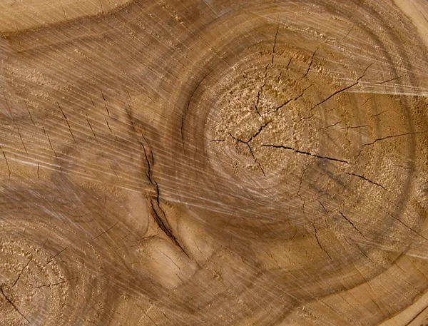 เนื้อเยื่อของการตัดต้นไม้ — ภาพถ่ายสต็อก