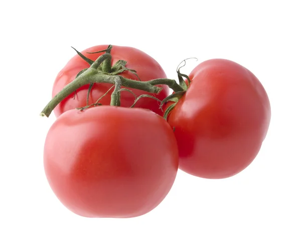 Tomater på en grön gren — Stockfoto