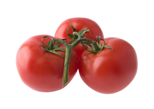Tomatoes on a green branch — Stock Photo, Image