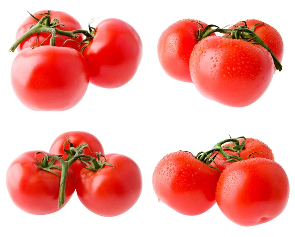 Three tomatoes on a green branch — Stock Photo, Image