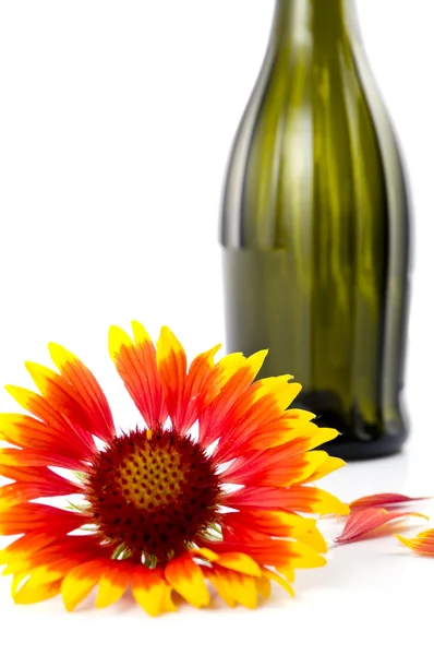 A flower is red with a bottle and petals — Stock Photo, Image