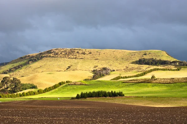 New Zealand countryside — Stock Photo, Image