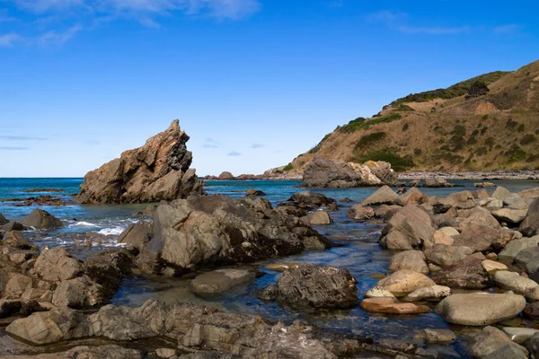 Nugget point roches — Photo