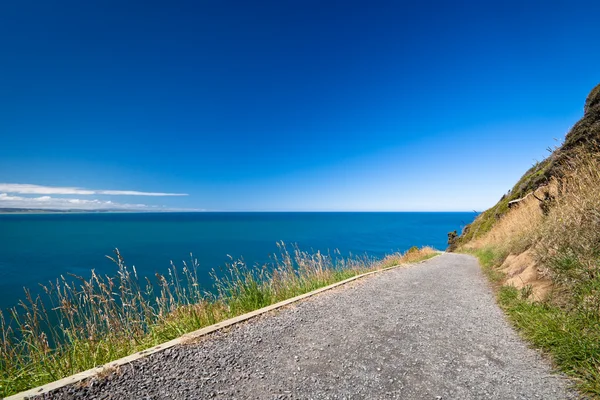 Footpath in Nugget Point — Stock Photo, Image