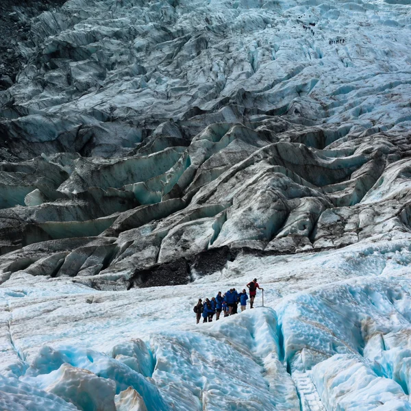 Franz Josef Glacier — Stockfoto