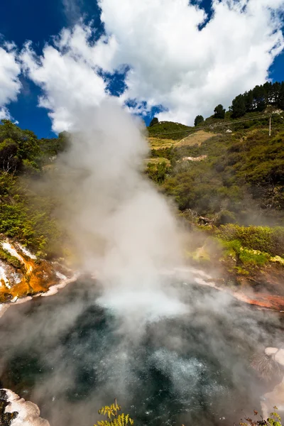 Piscina quente de vapor, Nova Zelândia — Fotografia de Stock