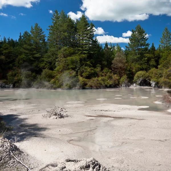 Geothermisches Schlammbecken, Neuseeland — Stockfoto