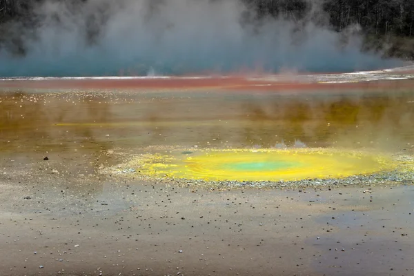 Geotermiska färgglada pool-landskap, Nya Zeeland — Stockfoto