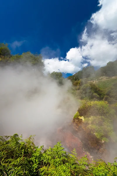 ニュージーランド地熱地域を蒸し — ストック写真