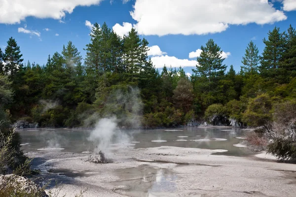 Steaming mud pool, New Zealand — Stock Photo, Image