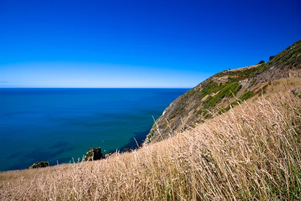 Vista sull'oceano in Nuova Zelanda — Foto Stock