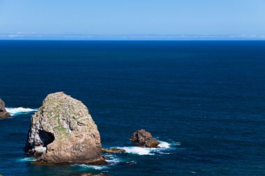 Nugget Point - New Zealand clipart