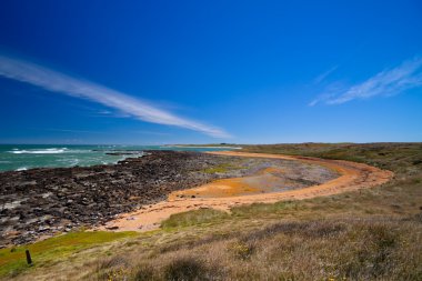 Waipapa beach in New Zealand clipart