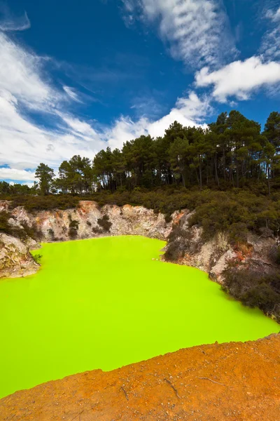 stock image Amazing Devils Bath - New Zealand