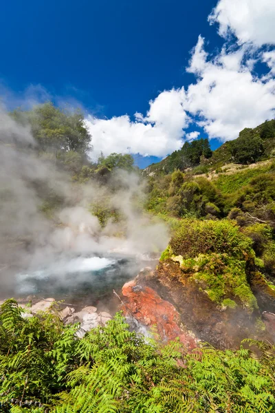 ニュージーランドの地熱プールを蒸し — ストック写真