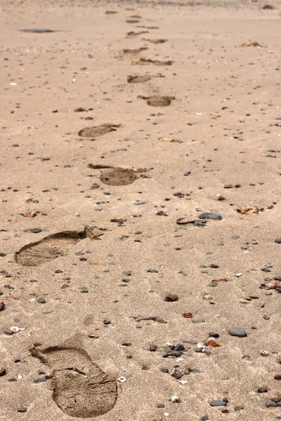 stock image Pebbly beach steps