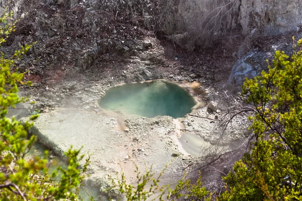 Zona de piscina geotermal, Nueva Zelanda — Foto de Stock