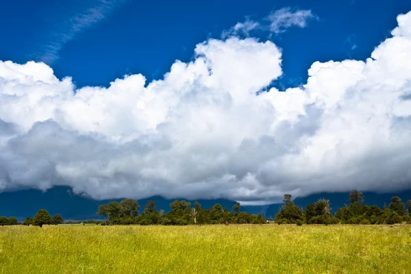 stock image New Zealand countryside