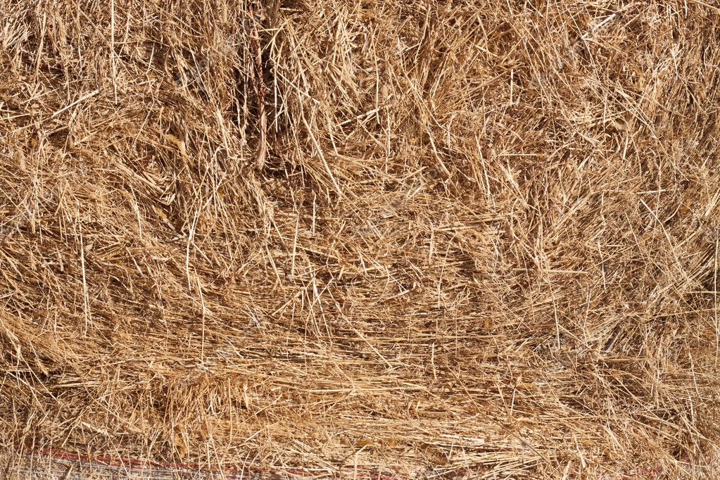 Straw texture — Stock Photo © JanMika #5825092