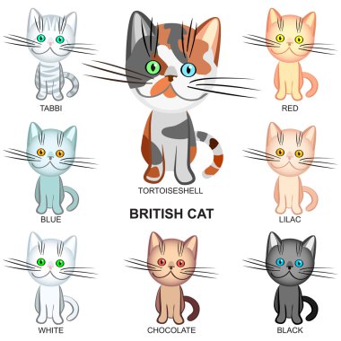 Vector set of the British Shorthair cats of various colors clipart