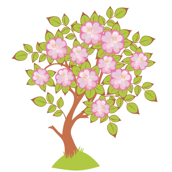Вектор цветения вишни — стоковый вектор