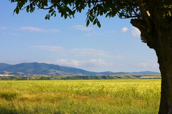 stock image Crimean mountains