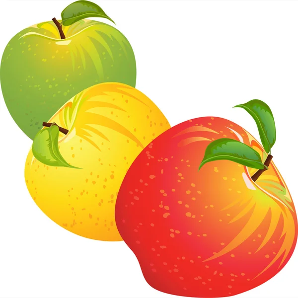 Conjunto vetorial de maçãs coloridas —  Vetores de Stock