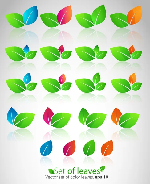 Ensemble vectoriel de feuilles de couleur . — Image vectorielle