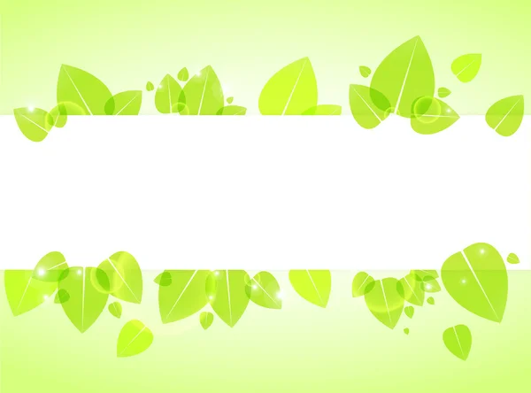Sfondo verde fresco con foglie — Foto Stock