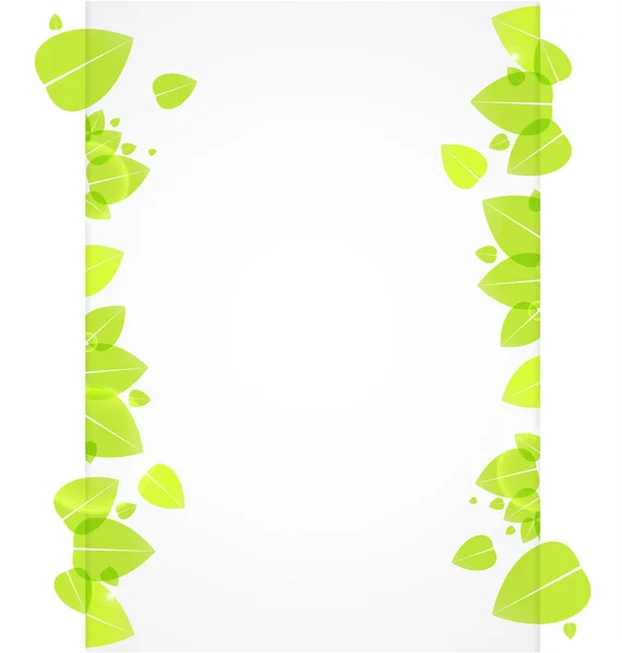 Свежий зеленый фон с листьями — стоковое фото