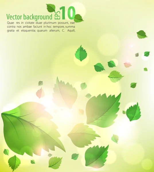 Nice summer nature background — Stock Vector