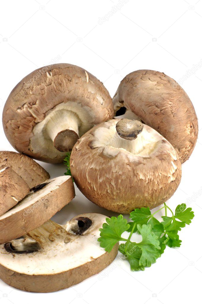 A selection of brown mushrooms