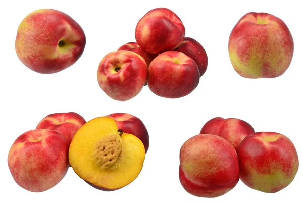 Collectie van nectarine vruchten — Stockfoto