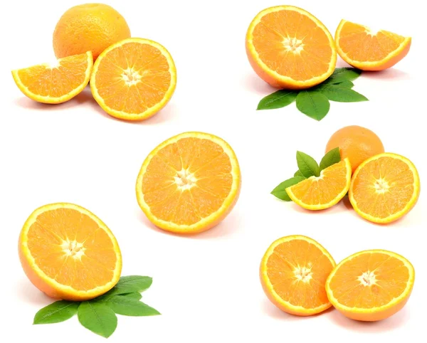 Коллекция свежевырезанного апельсина — стоковое фото