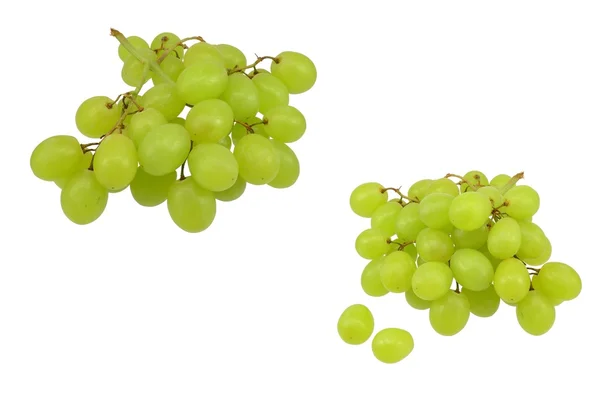 2 grappoli di uva verde — Foto Stock