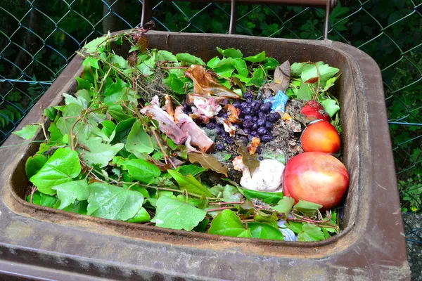 家庭用バイオ有機食品廃棄物します。 — ストック写真