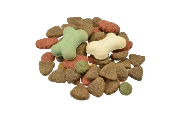 Pet food for dogs — Stock Photo, Image