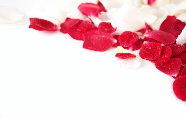 Bloemblaadjes van roos — Stockfoto